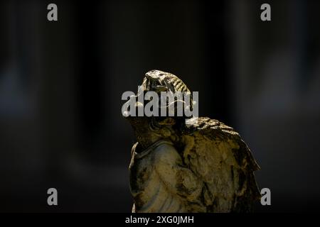 Stilleben der Engelsstatue Stockfoto