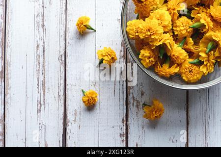 Geerntete Ringelblumen in Sieb auf Holztisch, überhängender Flausch, Kopierraum Stockfoto