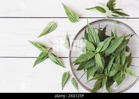 Brennnesselblatt (Urtica dioica), frisch gepflückt auf Holztisch, Blick von oben, Kopierraum Stockfoto