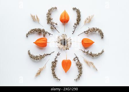 Fotografie mit Mandalaflümchen, flacher Herbst Mandalabuster mit trockenen Pflanzen auf weißem Papierhintergrund Stockfoto