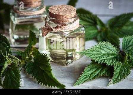 Brennnesseltinktur in Glasflaschen (Urtica dioica) frische Blätter auf Holztisch Stockfoto