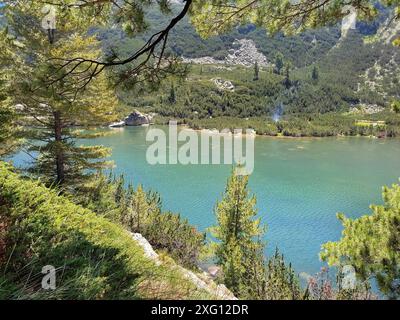 Karkamski See, Bulgarien, Pirin Berge Kiefernwald, Sommerlandschaft Stockfoto