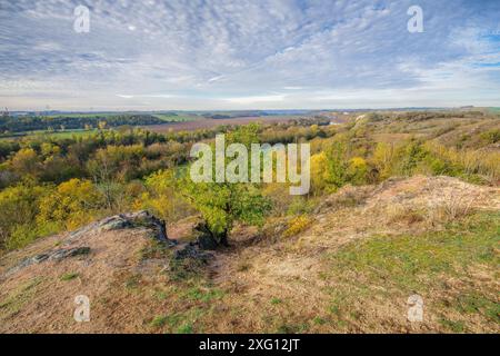 Schöne Herbstlandschaft mit der Saale und Felsen im Herbst, in der Nähe der Stadt Halle in Sachsen-Anhalt, schöne Herbstlandschaft mit dem Stockfoto