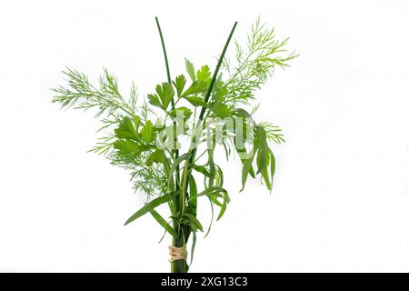 Ein Bündel frischer Küchenkräuter auf Weiß Stockfoto