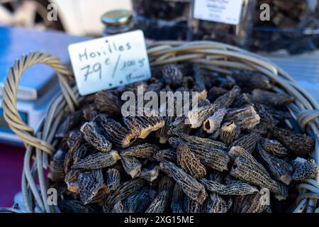 Morchella, wöchentlicher Freiluftmarkt, Foix, Departement Ariege, Occitanie, Pyrenäengebirge, Frankreich Stockfoto