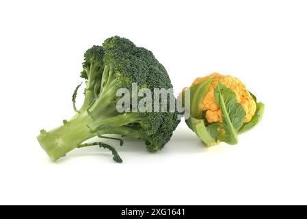 Frische bunte gelbe Blumenkohl mit grünem Brokkoli isoliert auf weißem Hintergrund. Gesunde Ernährung Stockfoto