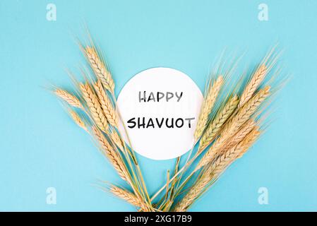 Weizenernte auf blauem Hintergrund, glücklicher shavuot steht in der Mitte, jüdischer Feiertag, Lebensmittelernte im Sommer, goldenes Stroh Stockfoto