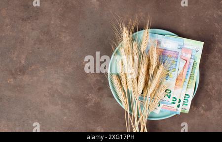 Teller mit Weizen- und Euro-Banknoten, Lebensmittelknappheit und steigenden Preisen, Armut durch Inflation Stockfoto