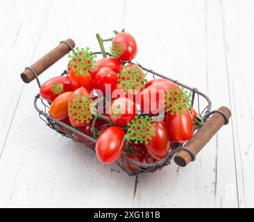 Tomatenpocken, Ausbruch des Virus in Indien, Infektionskrankheit breitet sich aus Stockfoto