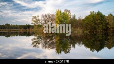 Biodiversität Haff Reimech, Feuchtgebiet und Naturschutzgebiet in Luxemburg, Teich umgeben von Schilf und Bäumen, Vogelbeobachtungspunkt Stockfoto