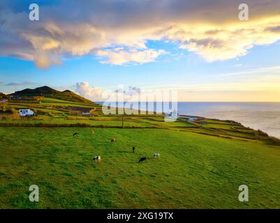 Aus der Vogelperspektive auf einer üppigen Sommerweide bei Sonnenuntergang mit Leuchtturm im Hintergrund Stockfoto