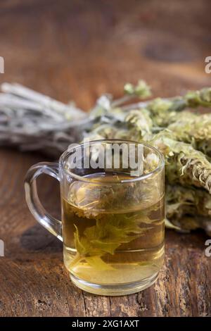 Griechischer Sideritis-Tee auf dunklem Holz Stockfoto