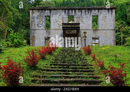 Eine verlassene Ruine mitten in einem bewaldeten Gebiet, eine bewachsene Steintreppe führt hinauf, Grena's House, Grena Park, Furnas, George Hayes Stockfoto
