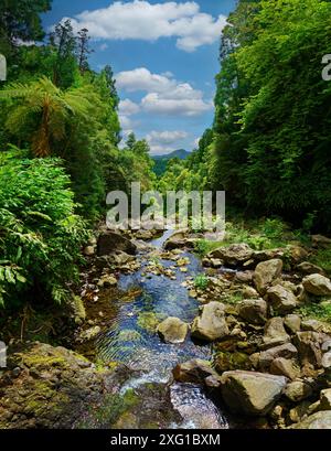 Ein ruhiger Bach, der durch ein bewaldetes Gebiet mit großen Felsen und dichtem Grün fließt, der Himmel ist klar mit wenigen Wolken, Grena Park, Furnas, George Hayes Stockfoto