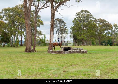 Glen Innes Australia - 8. Februar 2012; Pferd und Reiter zwischen Bäumen und stehenden Steinen auf dem Hügel von Glen Innes. Stockfoto