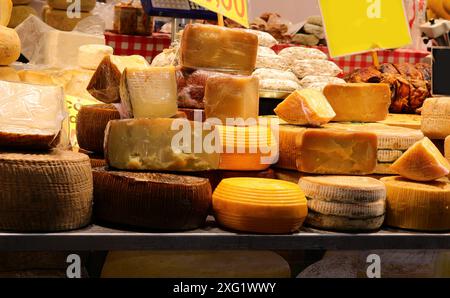 Gut sortierte Käsetheke in der Käserei mit Pecorino oder typisch italienischem gereiften Käse Stockfoto