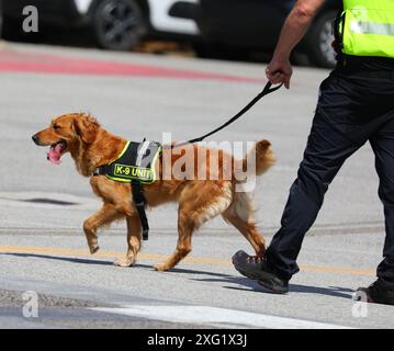 Vermisste Personen suchen und retten Retriever-Hund, der eine K9 Unit-Weste trägt und von seinem Hundeführer an der Leine gehalten wird Stockfoto