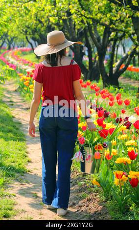 Ein junges Mädchen mit Strohhut und einem Blecheimer in der Hand geht im Frühling durch ein Tulpenfeld Stockfoto