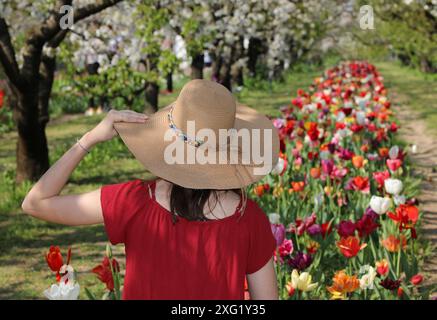 Ein junges Mädchen mit Strohhut in einem blühenden Tulpenfeld im Frühling Stockfoto