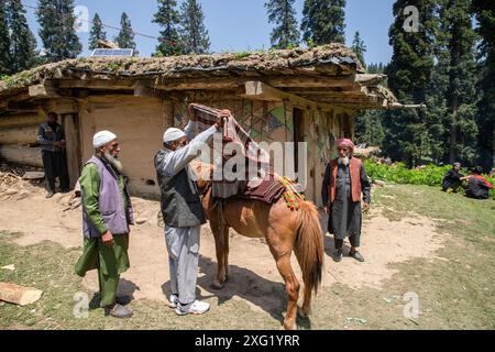 Gujjar (Nomade) ältere Männer bereiten ein Pferd für den Bräutigam vor, bevor er während der Hochzeitszeremonie im Dorf Sangerwani im Bezirk Pulwama, 75 km südlich von Srinagar, der Sommerhauptstadt der Himalaya-Region in Kaschmir, in das Haus der Braut aufbricht. Trotz der exponentiellen Entwicklung von Autos verwenden einige nomadische Stämme noch Pferde und Palanquins für Hochzeiten. Eine neue Studie der Tribal Research and Cultural Foundation, einer Frontalorganisation der Gujjar-Gemeinde, zeigt, dass 88 Prozent der Gujjars (Nomaden) in Jammu und Kaschmir bis zu 600 US-Dollar für eine Hochzeitszeremonie ausgeben Stockfoto