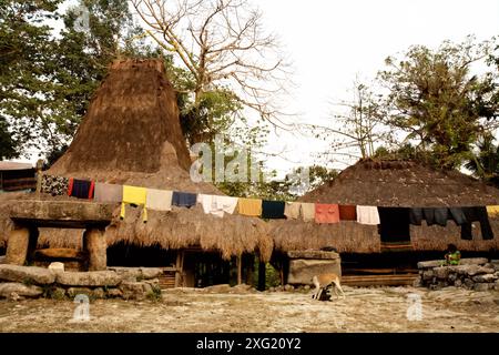 Eine Wäscheleine vor traditionellen Häusern im indigenen Dorf Tarung in Soba Wawi, Loli, Waikabubak, West Sumba, Ost Nusa Tenggara, Indonesien. Laut dem Entwicklungsprogramm der Vereinten Nationen (UNDP) leben schätzungsweise 476 Millionen indigene Menschen in mehr als 90 Ländern. Obwohl sie weniger als fünf Prozent der Weltbevölkerung ausmachen, stellen sie laut Daten 15 Prozent der Ärmsten dar. Stockfoto