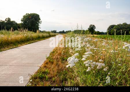 Schöne Aussicht auf eine Straßenkurve in der Landschaft im Sommer. Gut gepflegter Straßenrand mit gemähtem Gras. Gronau, Deutschland 2024. Stockfoto