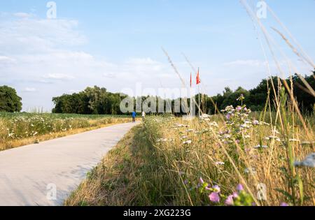 Schöne Aussicht auf eine Straßenkurve in der Landschaft im Sommer. Gut gepflegter Straßenrand mit gemähtem Gras. Gronau, Deutschland 2024. Stockfoto