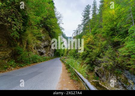 Blick auf eine Straße und Landschaft entlang der Trigrader Schlucht im Rhodopen-Gebirge, Südbulgarien Stockfoto