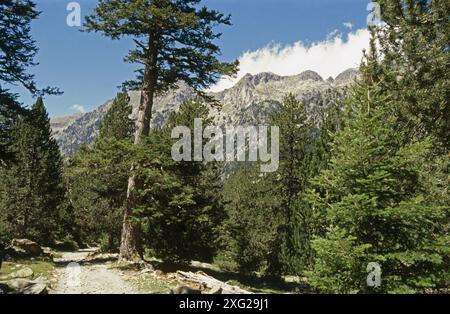 Parc Nacional D´Aigües Torten. Provinz Lleida. Katalonien. Spanien Stockfoto