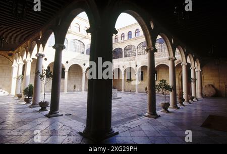 Palacio de Los Guzmanes, Kreuzgang. León. Castilla y León. Spanien Stockfoto