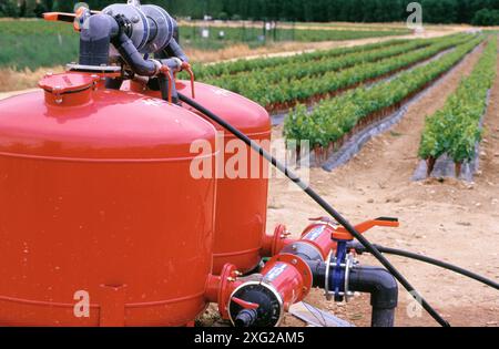 Wassertank in einem Weinberg Stockfoto