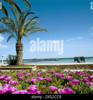 Strand, Santiago De La Ribera, Mar Menor, Provinz Murcia, Spanien Stockfoto