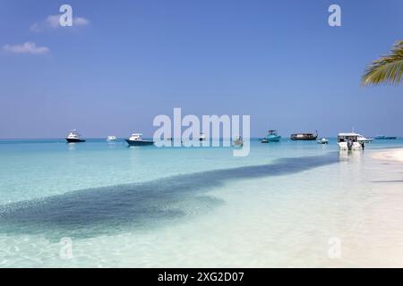 Ein Strand auf Fulidhoo mit vertäuten Booten und riesigen Fischschwärmen (dunkel) Stockfoto