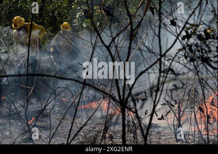 Corumba, Brasilien. Juli 2024. Feuerwehrleute arbeiten in einem von Waldbränden betroffenen Gebiet des Pantanal in Corumba, Gemeinde Mato Grosso do Sul, Brasilien, 5. Juli 2024. Quelle: Lucio Tavora/Xinhua/Alamy Live News Stockfoto