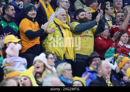 Sydney, Australien. Juli 2024. Fans beim internationalen Testspiel zwischen Australien Wallabies und Wales im Allianz Stadium in Sydney, Australien am 6. Juli 2024. Foto von Peter Dovgan. Nur redaktionelle Verwendung, Lizenz für kommerzielle Nutzung erforderlich. Keine Verwendung bei Wetten, Spielen oder Publikationen eines einzelnen Clubs/einer Liga/eines Spielers. Quelle: UK Sports Pics Ltd/Alamy Live News Stockfoto