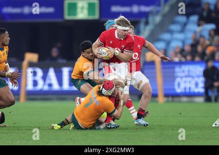 Sydney, Australien. Juli 2024. Aaron Wainwright aus Wales spielt den Ball während des internationalen Testspiels zwischen den Australia Wallabies und Wales im Allianz Stadium in Sydney, Australien am 6. Juli 2024. Foto von Peter Dovgan. Nur redaktionelle Verwendung, Lizenz für kommerzielle Nutzung erforderlich. Keine Verwendung bei Wetten, Spielen oder Publikationen eines einzelnen Clubs/einer Liga/eines Spielers. Quelle: UK Sports Pics Ltd/Alamy Live News Stockfoto