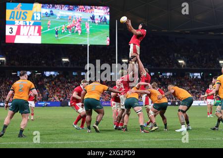 Sydney, Australien. Juli 2024. Wales gewinnt am 6. Juli 2024 im Allianz Stadium, Sydney, Australien, ein internationales Testspiel zwischen Australien Wallabies und Wales. Foto von Peter Dovgan. Nur redaktionelle Verwendung, Lizenz für kommerzielle Nutzung erforderlich. Keine Verwendung bei Wetten, Spielen oder Publikationen eines einzelnen Clubs/einer Liga/eines Spielers. Quelle: UK Sports Pics Ltd/Alamy Live News Stockfoto