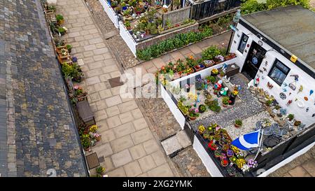 Footdee oder Fittie Aberdeen ein altes Fischerdorf am Ende des Hafens von Aberdeen, farbenfrohe kleine Gärten voller Blumen Stockfoto