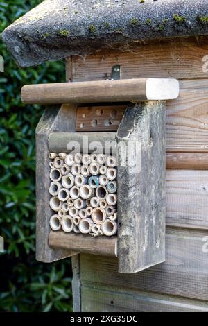 Bughotel in einem Garten in Kent, Großbritannien Stockfoto