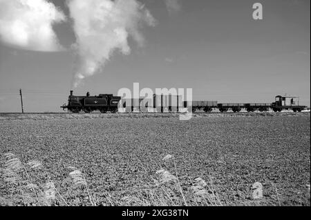 '30053' und ein kurzer Güterzug. Gesehen hier zwischen Northiam und Wittersham Road. Stockfoto