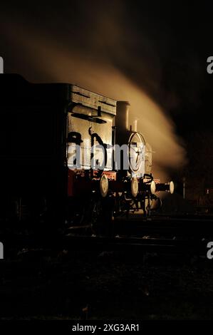 '6412' und '1450' im Schuppen bei Buckfastleigh mit '3205'. Stockfoto