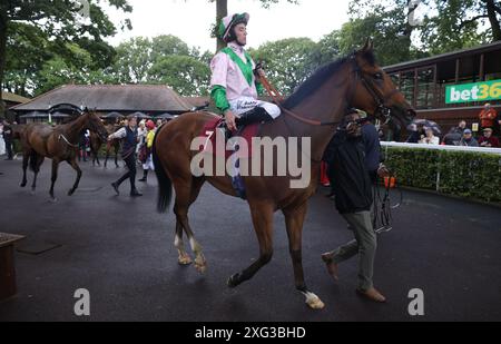 Cloud King wurde von Ross Ryan gefahren, nachdem er beim bet365 Handicap am bet365 Old Newton Cup Day auf der Pferderennbahn Haydock Park in Newton-le-Willows den Bet Boost gewonnen hatte. Bilddatum: Samstag, 6. Juli 2024. Schau dir PA Story RACING Haydock an. Das Foto sollte lauten: Ian Hodgson für den Jockey Club/PA Wire. EINSCHRÄNKUNGEN: Nur redaktionelle Verwendung, kommerzielle Nutzung unterliegt der vorherigen Genehmigung durch den Jockey Club/Sandown Park Racecourse Stockfoto