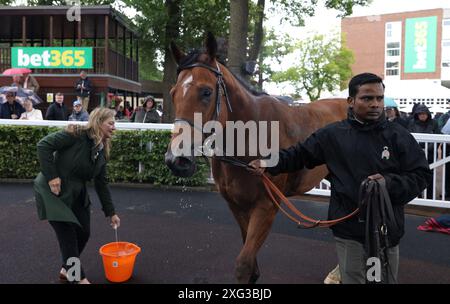 Cloud King nach dem Gewinn des Bet Boost beim bet365 Handicap am bet365 Old Newton Cup Day auf der Pferderennbahn Haydock Park, Newton-le-Willows. Bilddatum: Samstag, 6. Juli 2024. Schau dir PA Story RACING Haydock an. Das Foto sollte lauten: Ian Hodgson für den Jockey Club/PA Wire. EINSCHRÄNKUNGEN: Nur redaktionelle Verwendung, kommerzielle Nutzung unterliegt der vorherigen Genehmigung durch den Jockey Club/Sandown Park Racecourse Stockfoto