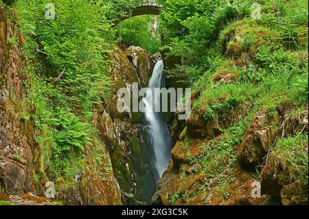 Aira Force Wasserfall Englands höchster Wasserfall im Lake District National Park Stockfoto