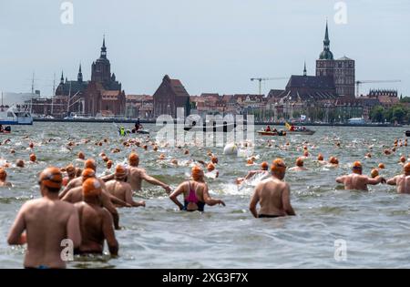 6. Juli 2024, Mecklenburg-Vorpommern, Altefähr: Mehr als 1000 Teilnehmer gehen zum 59. Internationalen Sundschwimmen in die Gewässer des Strelasunds auf der Insel Rügen. Bei einer Wassertemperatur von rund 18 Grad müssen die Schwimmer die Distanz zwischen der Ostseeinsel Rügen und der Hansestadt Stralsund zurücklegen. Foto: Stefan sauer/dpa Credit: dpa Picture Alliance/Alamy Live News Stockfoto