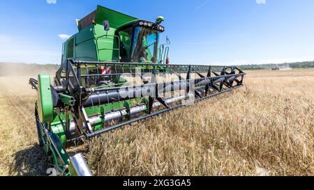 Leuthen, Deutschland. Juli 2024. Ein Mähdrescher droscht Wintergerste auf einem Feld. Die Bauern nutzen den trockenen und warmen Sommertag, um reifes Getreide einzubringen, bevor mehr Regen erwartet wird. Vermerk: Frank Hammerschmidt/dpa/Alamy Live News Stockfoto