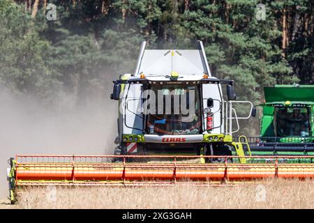 Leuthen, Deutschland. Juli 2024. Zwei Mähdrescher droschen Wintergerste auf einem Feld. Die Bauern nutzen den trockenen und warmen Sommertag, um reifes Getreide einzubringen, bevor mehr Regen erwartet wird. Vermerk: Frank Hammerschmidt/dpa/Alamy Live News Stockfoto