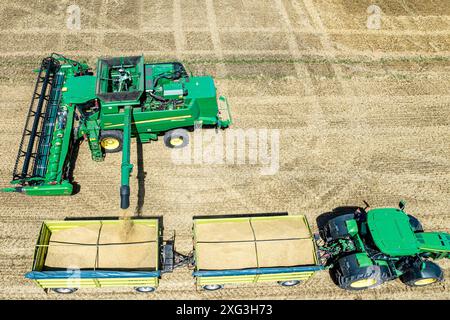 Leuthen, Deutschland. Juli 2024. Die geerntete Wintergerste wird auf den Anhänger eines Traktors geladen (Foto mit Drohne). Die Bauern nutzen den trockenen und warmen Sommertag, um reifes Getreide einzubringen, bevor mehr Regen erwartet wird. Vermerk: Frank Hammerschmidt/dpa/Alamy Live News Stockfoto