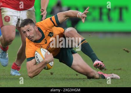 Sydney, Australien. Juli 2024. Jake Gordon vom australischen Rugbyteam der Männer wird während des Spiels der Männer Rugby International zwischen Australien und Wales im Allianz Stadium in Aktion gesehen. Endpunktzahl; Australien 25:16 Wales. Quelle: SOPA Images Limited/Alamy Live News Stockfoto