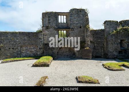 Ormond Castle ist eine Burg aus dem 15. Jahrhundert am Fluss Suir an der Ostseite von Carrick-on-Suir im County Tipperary, Irland Stockfoto